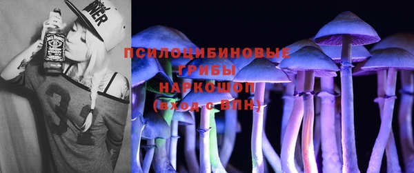 мескалин Ельня