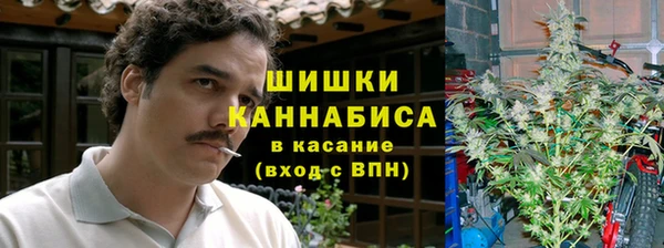 ПСИЛОЦИБИНОВЫЕ ГРИБЫ Елизово