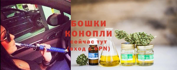 ПСИЛОЦИБИНОВЫЕ ГРИБЫ Елизово