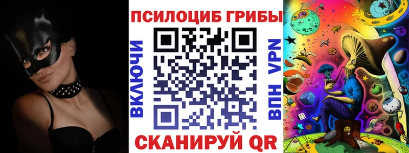 Галлюциногенные грибы мицелий Купить где Суздаль